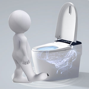 Smart Toilet with Heated Bidet Seat, toilet with bidet built in